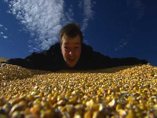 King Corn