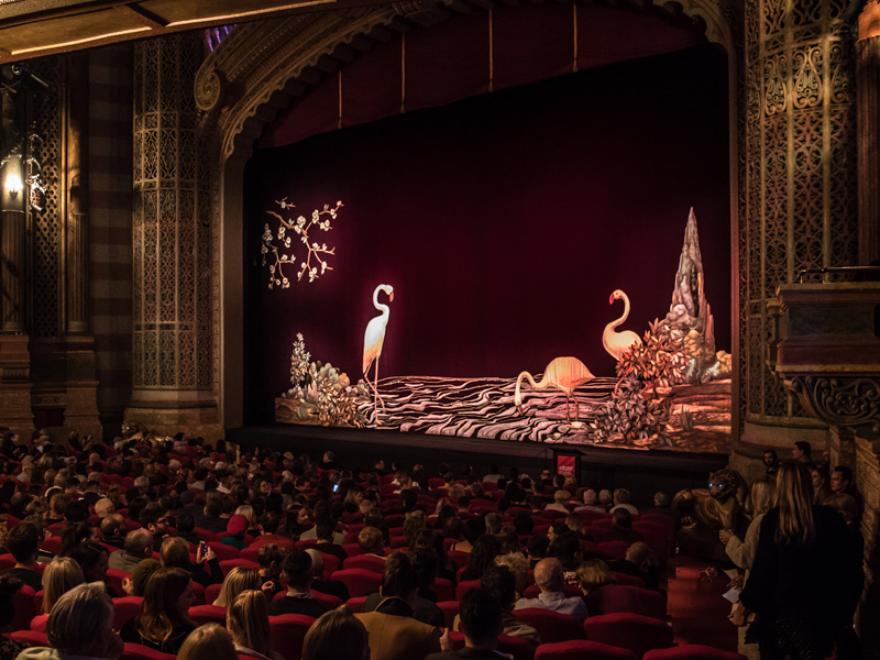 Join the NZIFF team for 2021!