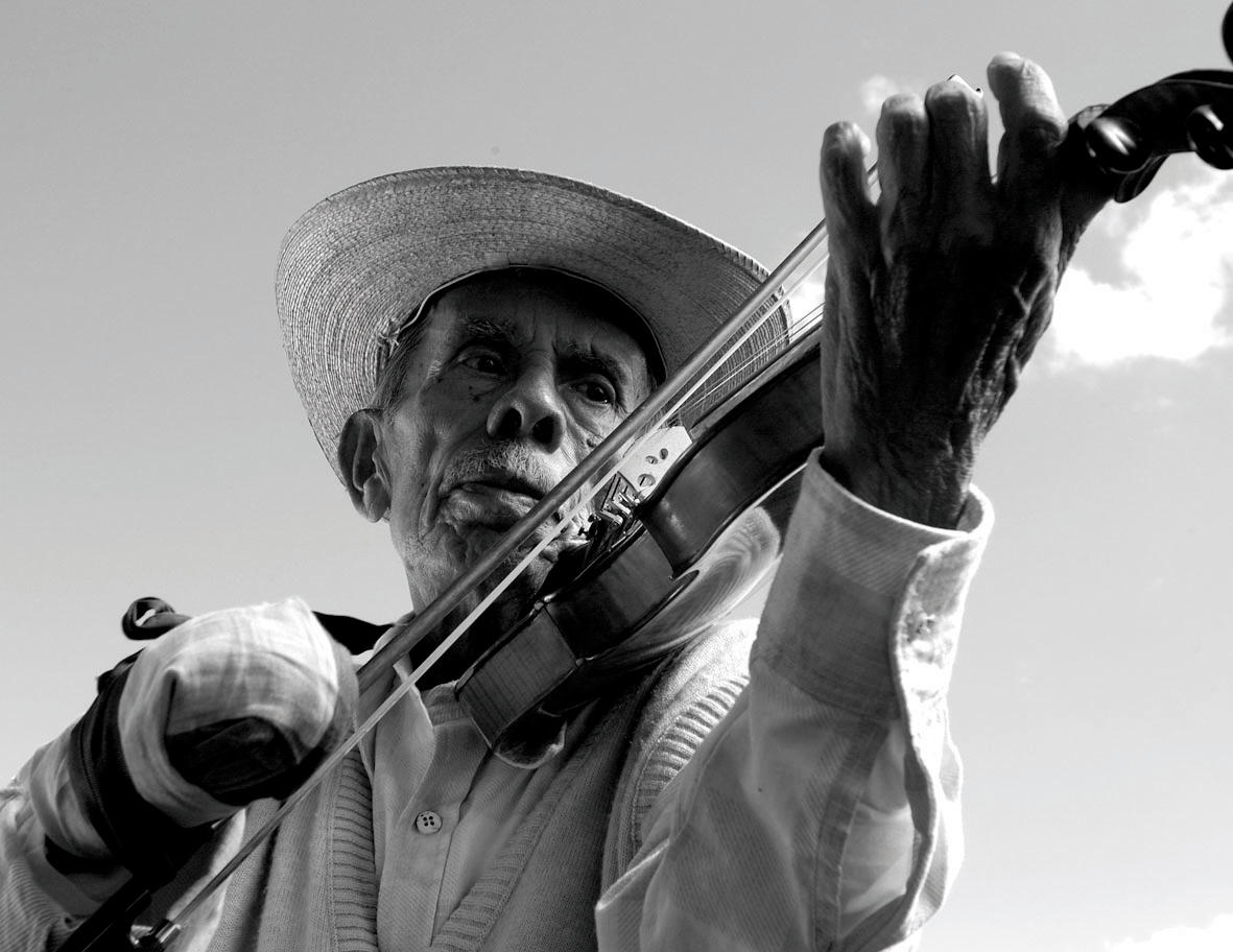 The Violin • New Zealand International Film Festival