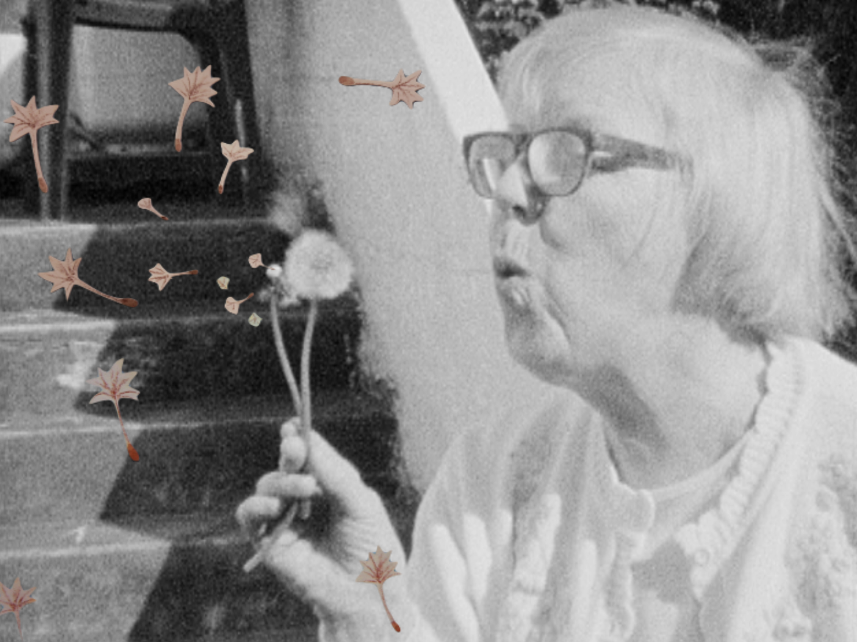【希少】Sigríður Níelsdóttir Song Book Lo-Fi Grandma Lo-fi: The Basement Tapes of Sigrídur Níelsdóttir • New